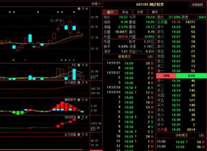 網(wǎng)達(dá)軟件603189 主力資金動(dòng)向與明日計(jì)算機(jī)軟硬技術(shù)開(kāi)發(fā)前景分析